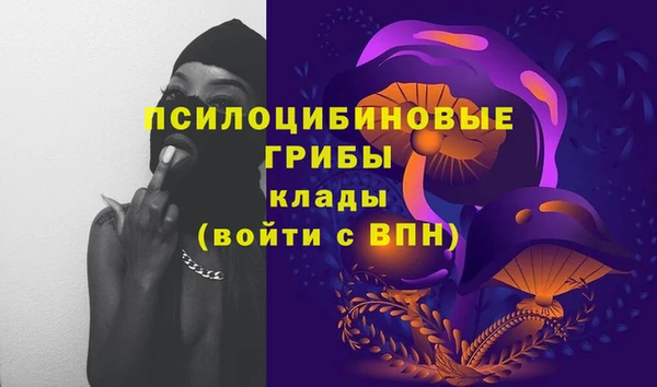 дурь Семёнов