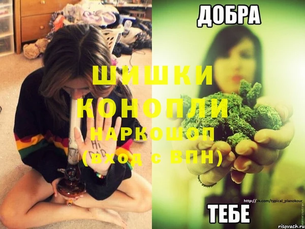 гашик Семикаракорск