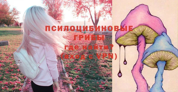 дурь Семёнов