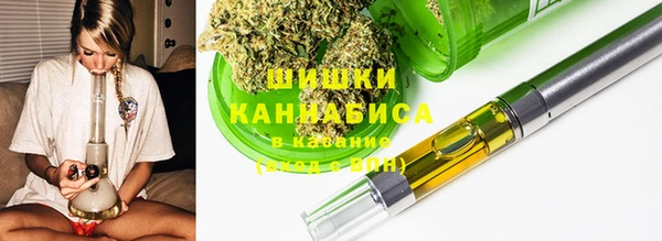 тгк Абаза