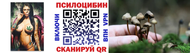цены наркотик  Кизилюрт  Галлюциногенные грибы Psilocybe 