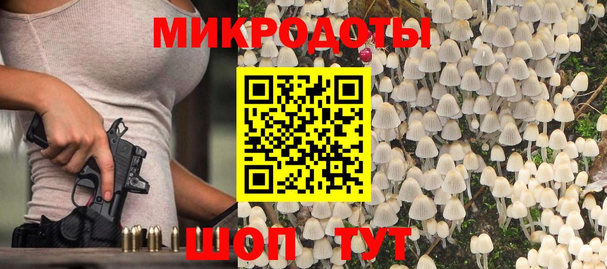 Галлюциногенные грибы Psilocybine cubensis Кизилюрт